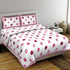 Harshfashion 120 TC Cotton King Fancy Bedsheet